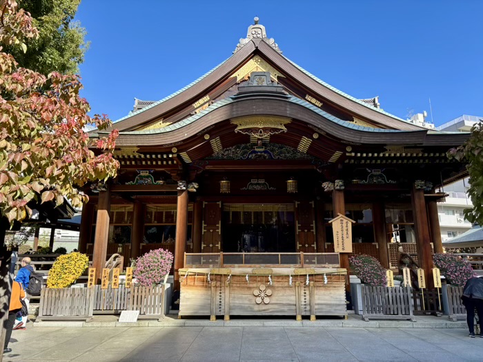 文京区 湯島天満宮 菊まつり