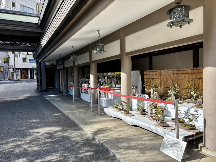 文京区 湯島天満宮 菊まつり