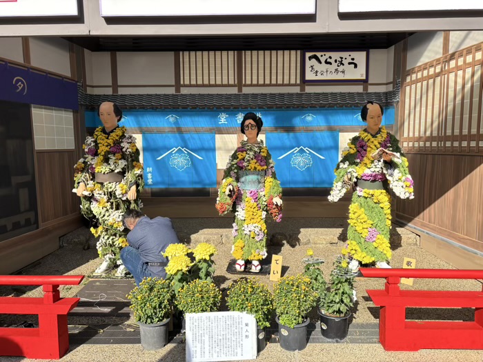 文京区 湯島天満宮 菊まつり