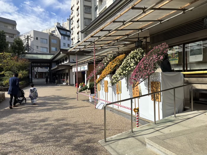 文京区 湯島天満宮 菊まつり