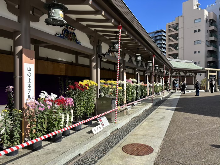 文京区 湯島天満宮 菊まつり