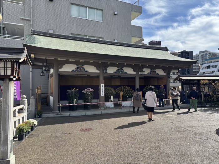 文京区 湯島天満宮 菊まつり