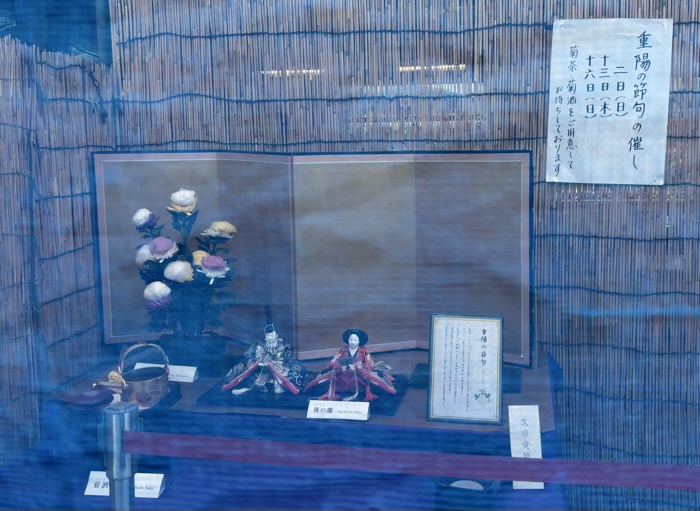 文京区 湯島天満宮 菊まつり