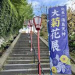 文京区 湯島天満宮 菊まつり