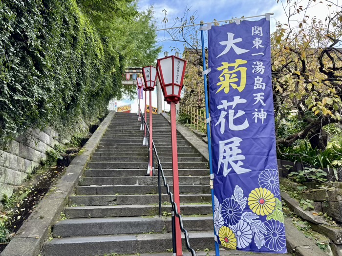 文京区 湯島天満宮 菊まつり