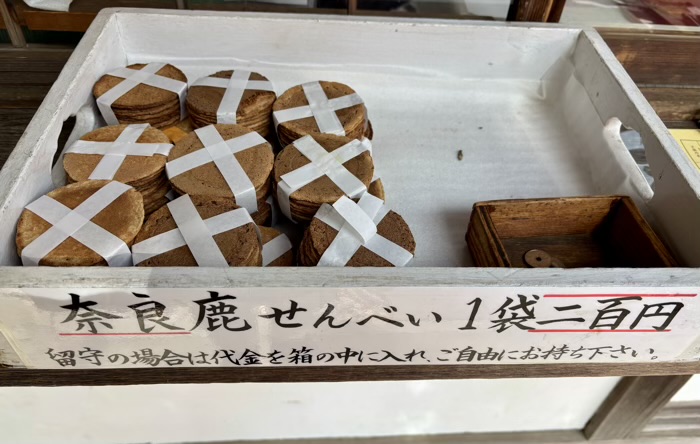 横浜 戸塚 相州春日神社 神鹿