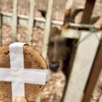 横浜　戸塚　相州春日神社