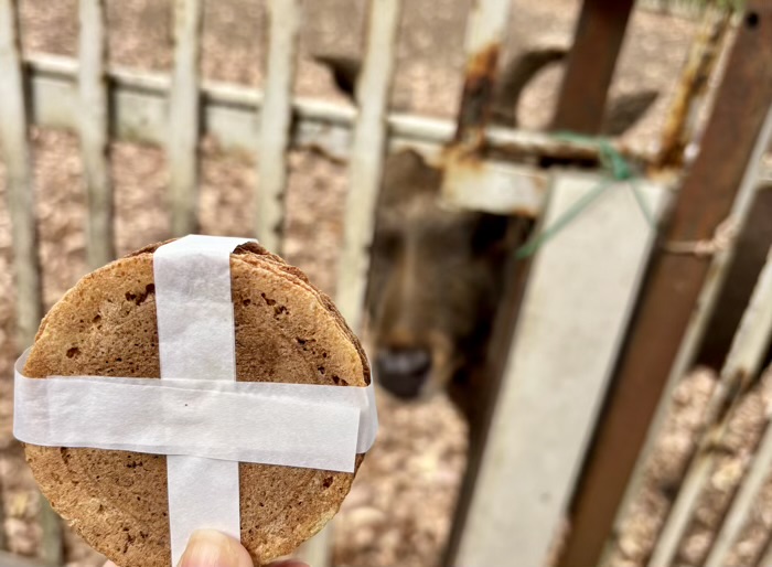 横浜 戸塚 相州春日神社