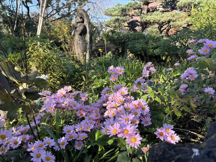 大和　清流山常泉寺　河童池