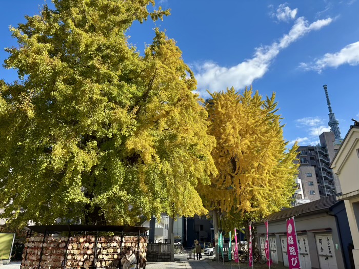 浅草　今戸神社