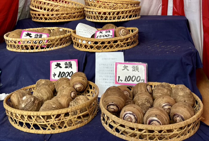 浅草　鷲神社　酉の市　大頭（八つ頭）