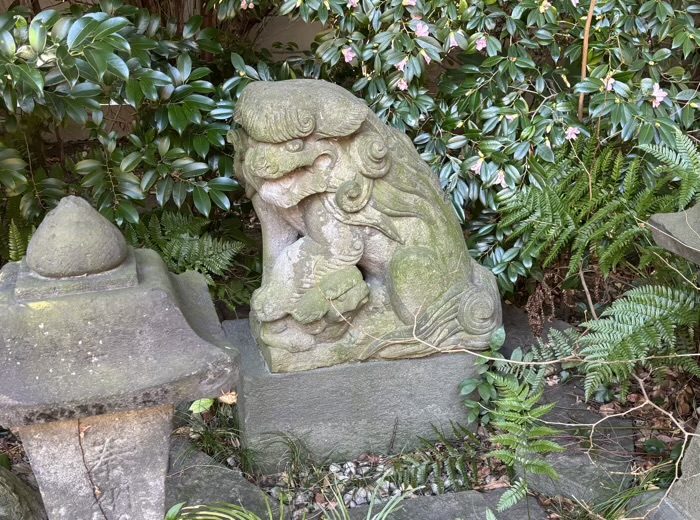 武蔵新田 新田神社 うなる狛犬