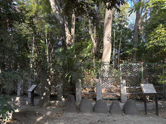 武蔵新田 新田神社