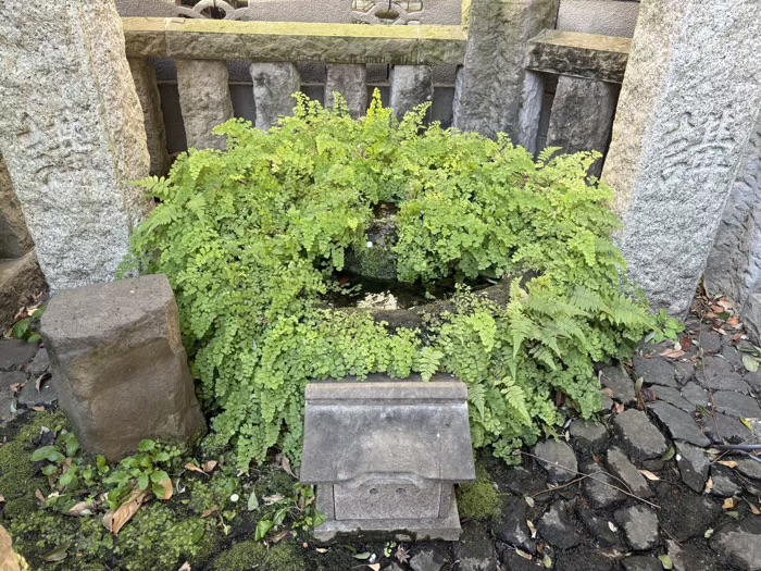 大田区 御嶽神社 杜の霊神水