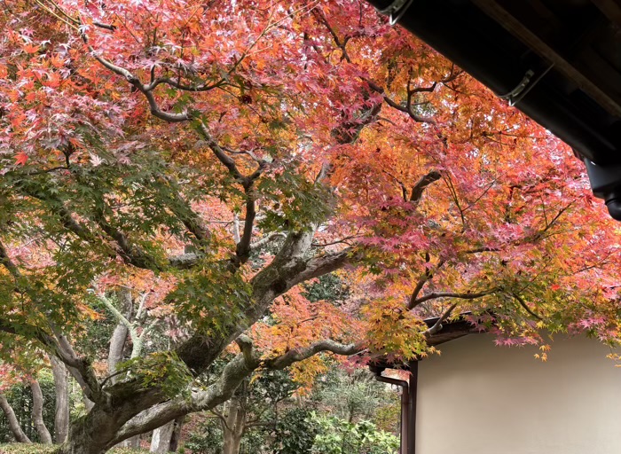 北鎌倉　宝亀山 長寿寺　小方丈