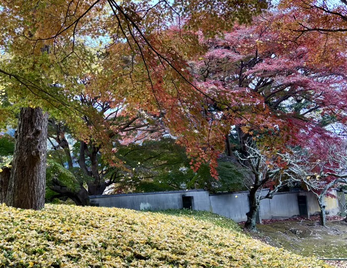 北鎌倉　宝亀山 長寿寺