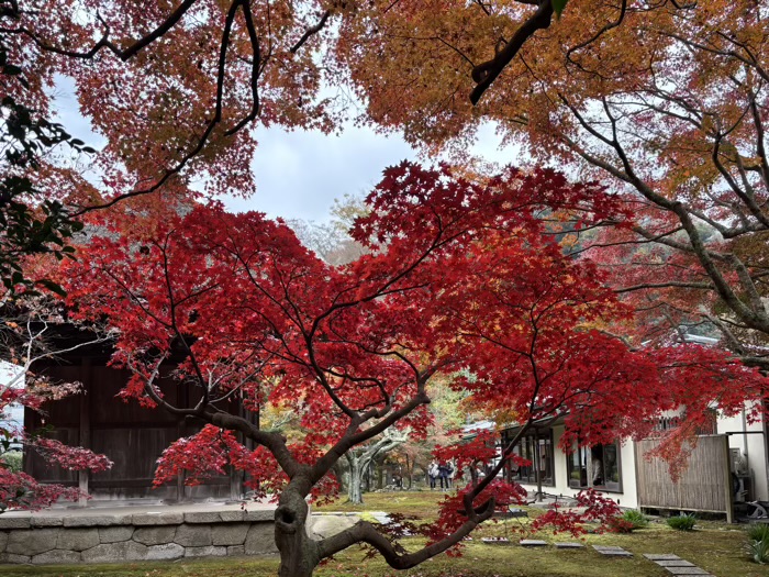 北鎌倉　宝亀山 長寿寺　観音堂　裏側