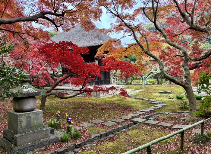 北鎌倉　宝亀山 長寿寺　観音堂　裏側