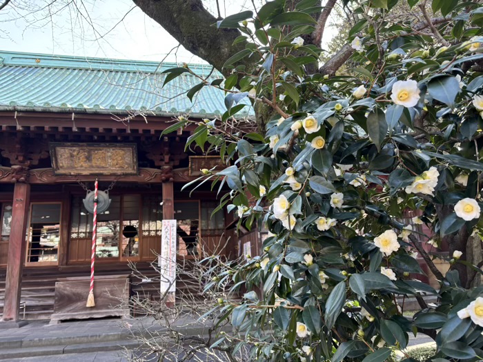 上野　東叡山寛永寺 護國院