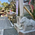 秦野　出雲大社相模分祠　しめなわ市（幸先詣）