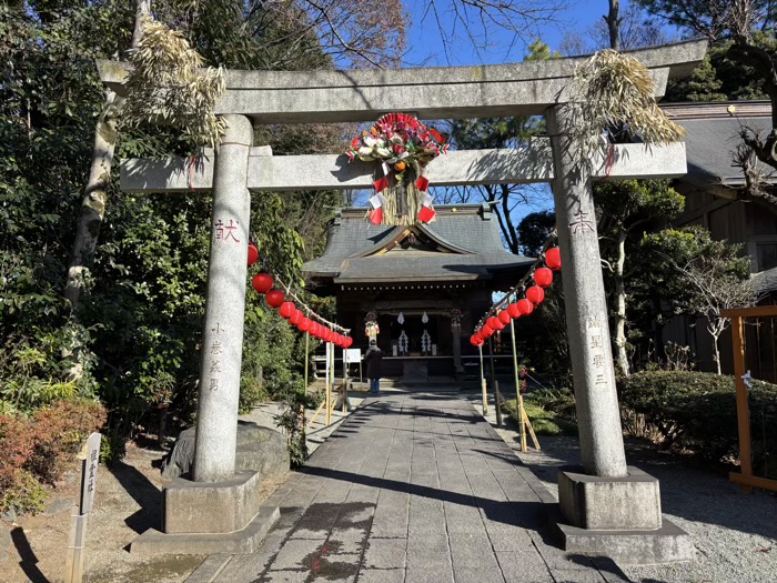 秦野　出雲大社相模分祠　しめなわ市（幸先詣）