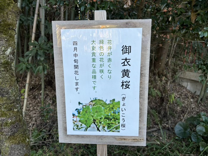 秦野　白笹稲荷神社
