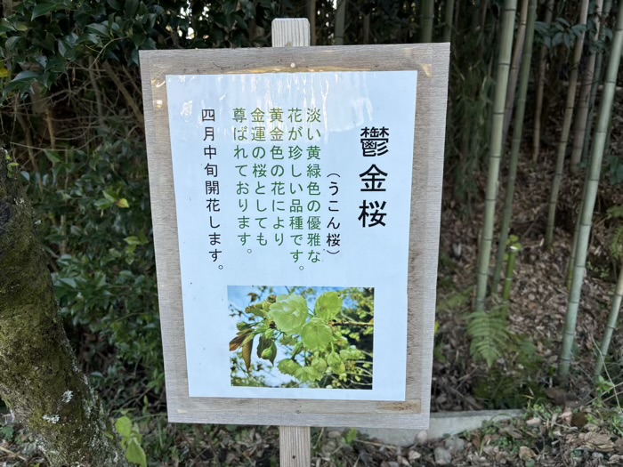 秦野　白笹稲荷神社