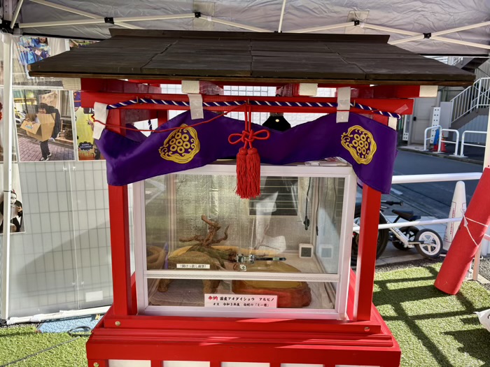 戸越公園　蛇窪神社　へびくぼ市　白蛇　ミー君