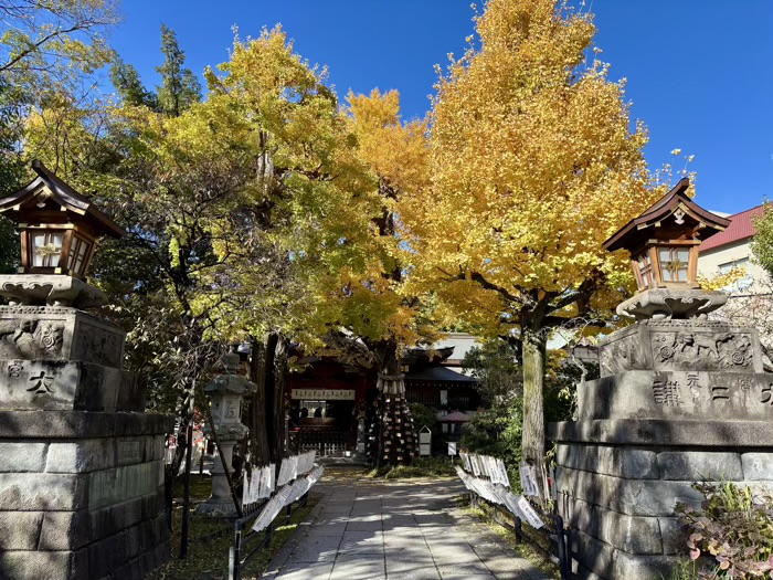 南千住　素盞雄神社　東参道