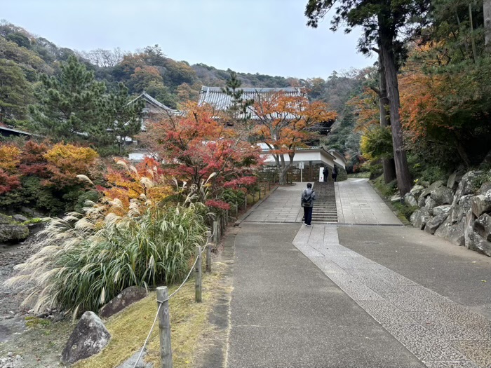 北鎌倉 円覚寺 大方丈 放生池(妙香池)