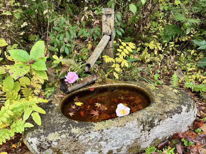 北鎌倉　円覚寺　黄梅院