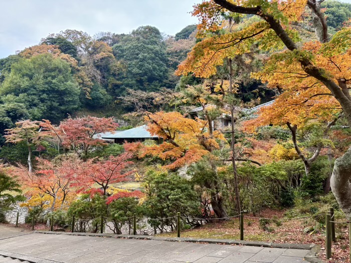 北鎌倉 円覚寺 大方丈 放生池(妙香池)