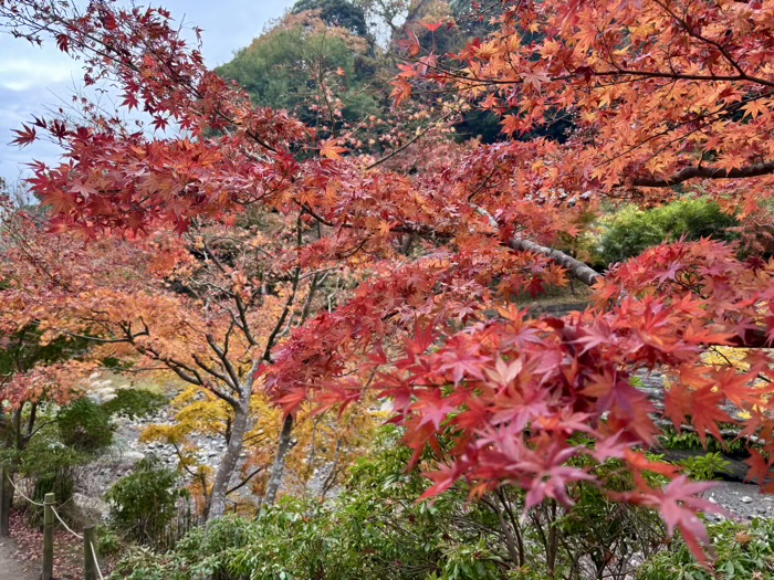 北鎌倉 円覚寺 大方丈 放生池(妙香池)