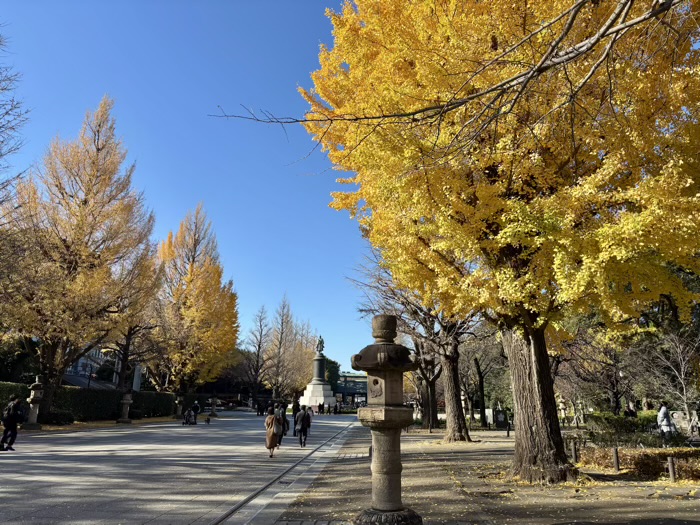 九段下 靖国神社 イチョウ並木