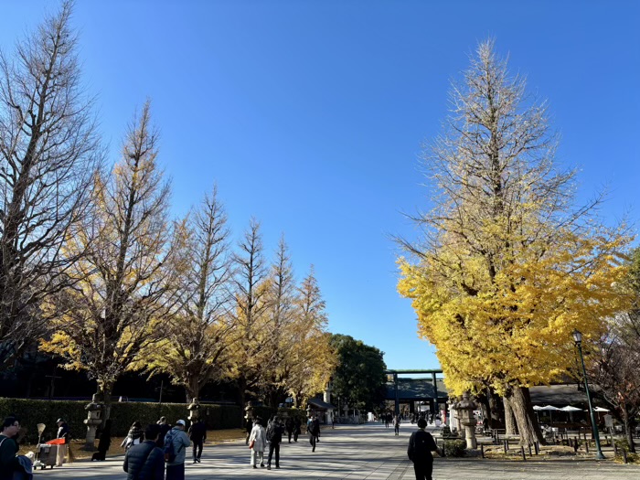 九段下 靖国神社 イチョウ並木