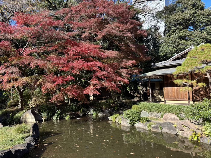 九段下 靖国神社 神池庭園 紅葉