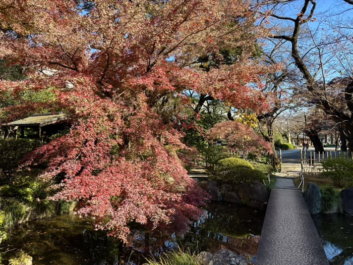 九段下 靖国神社 神池庭園 紅葉
