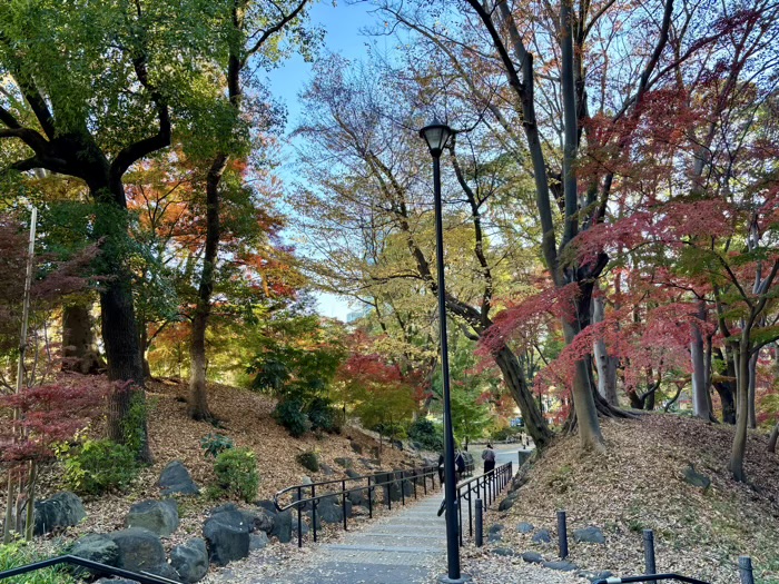 東京　もみじ谷　紅葉