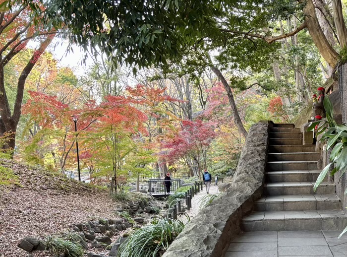 港区 蛇塚(もみじ谷) 紅葉