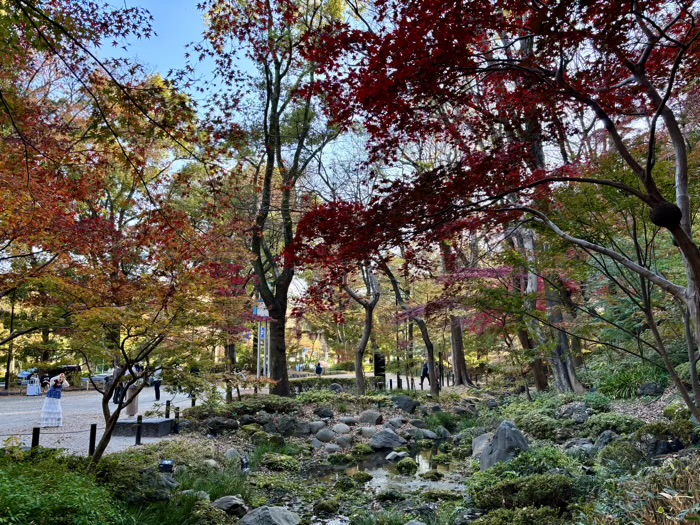 東京　もみじ谷　紅葉