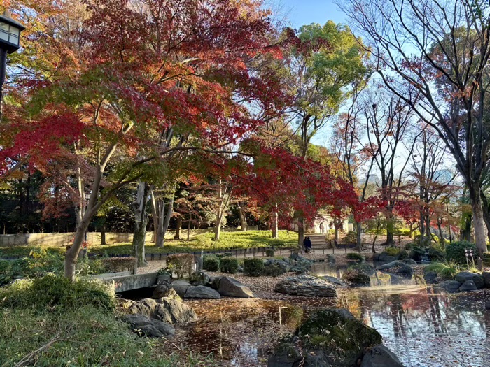 港区 三縁山 宝珠院 紅葉