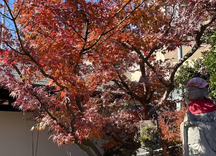 大和　清流山常泉寺　秋