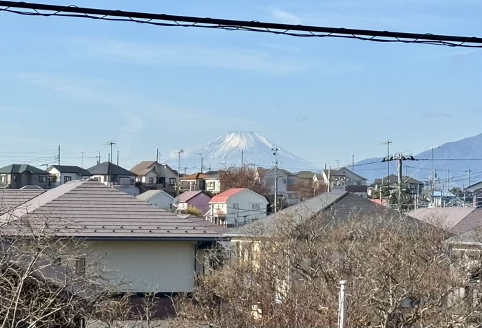 大和　常泉寺　一木の道