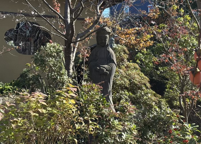 大和　常泉寺　椿の丘