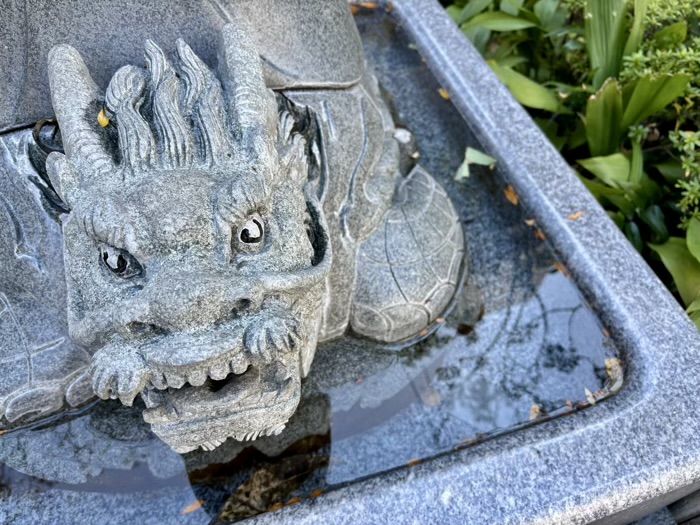 横浜　水天宮平沼神社　願い星