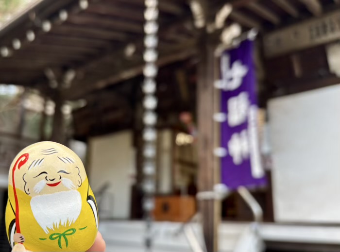 山手七福神 妙円寺(妙圓寺) 福禄寿尊だるま