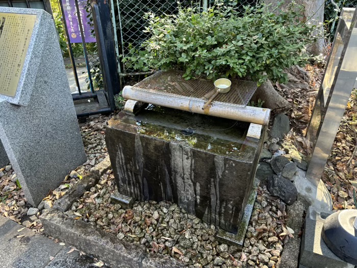 寛永寺 上野大仏
