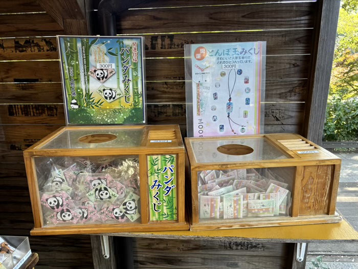 寛永寺 上野大仏 おみくじ