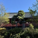 上野 清水観音堂 月の松