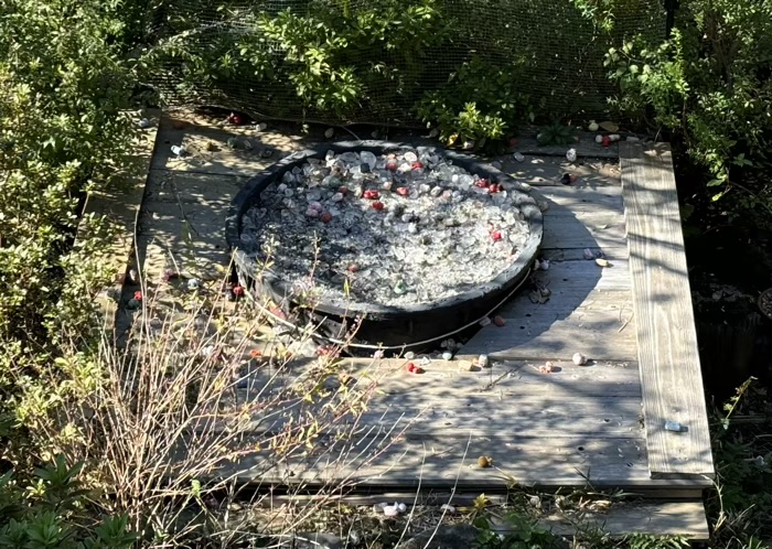 上野　清水観音堂　願い玉